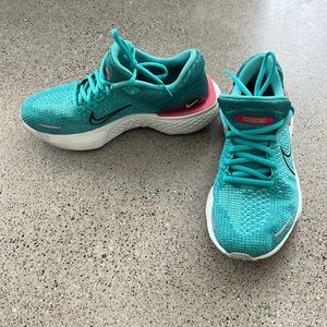 Nike Zoom (Invincible Run 2)